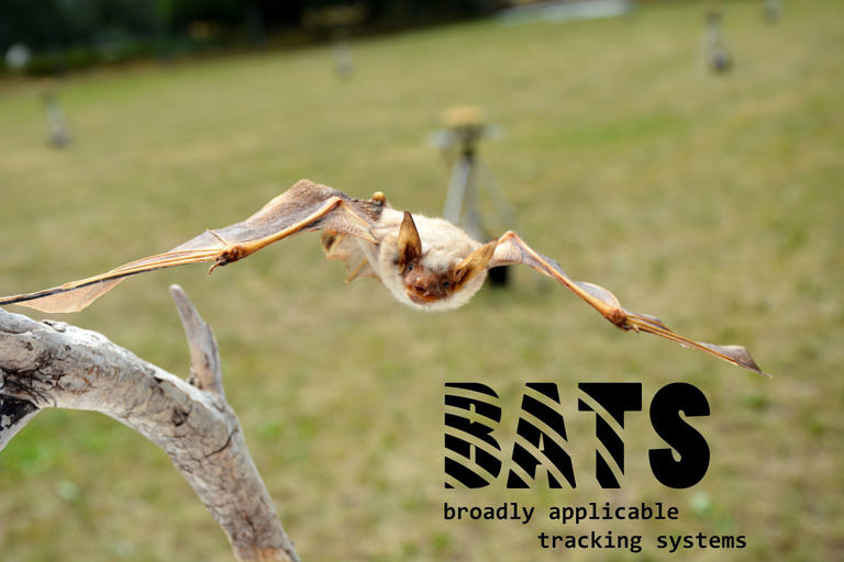 Das neueste von BATS -Projekt